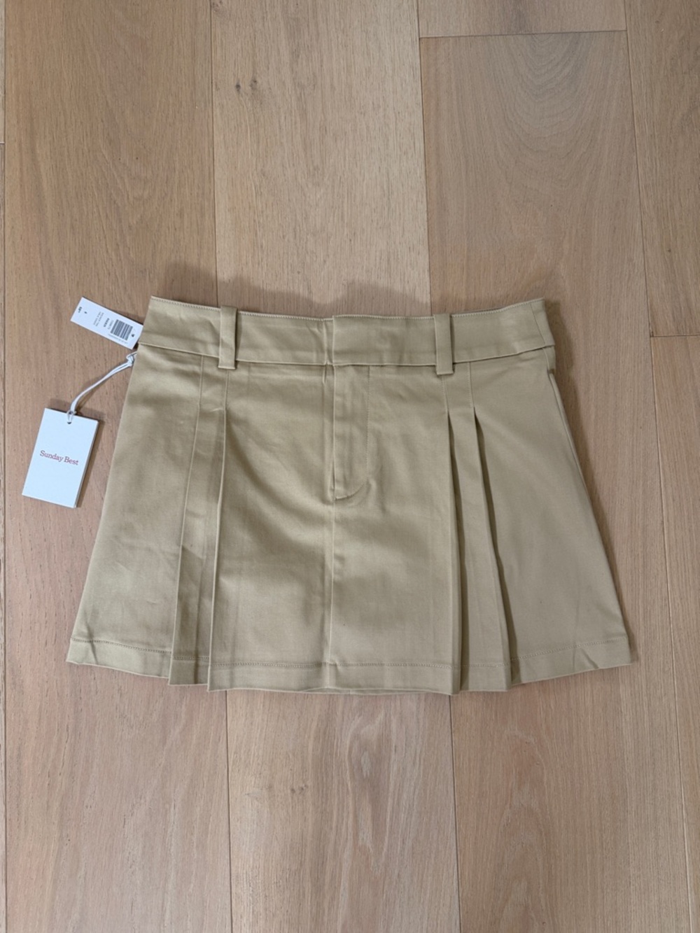 Aritzia Sunday Best Rider Pleated Mini Skirt